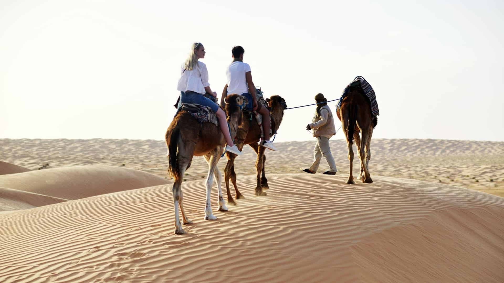 Sahara-tunisia