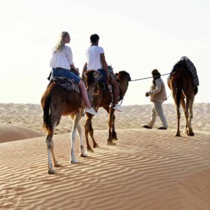 The Sahara Desert in Tunisia: A Journey into the Heart of the Desert